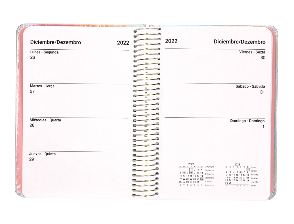 AGENDA ESPIRAL LIDERPAPEL TAPA IRIDISCENTE KYMOLOS A6 2024 SEMANA VISTA PAPEL 70 GR