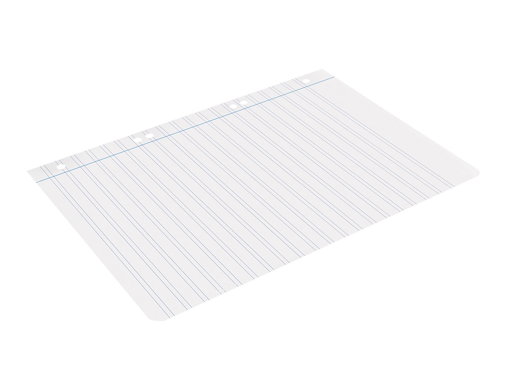 RECAMBIO LIDERPAPEL A5 100 HOJAS 75GR PAUTA 5 2.5MM CON MARGEN 6 TALADROS