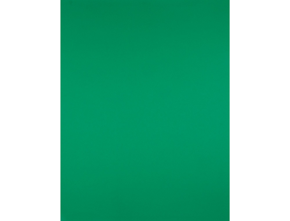 CARTULINA LIDERPAPEL 50X65 CM 240G/M2 VERDE NAVIDAD
